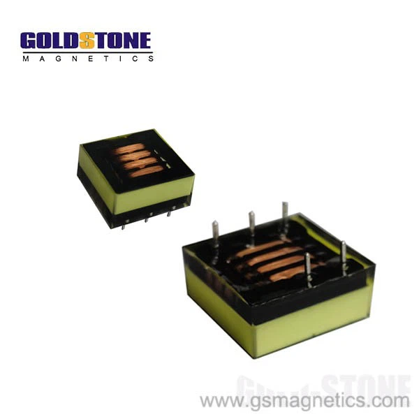 Training Dog Transformer