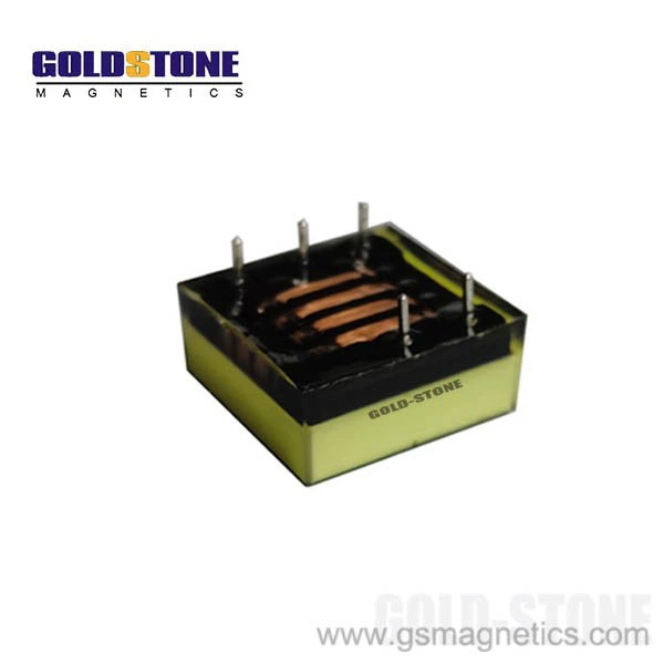 Training Dog Transformer